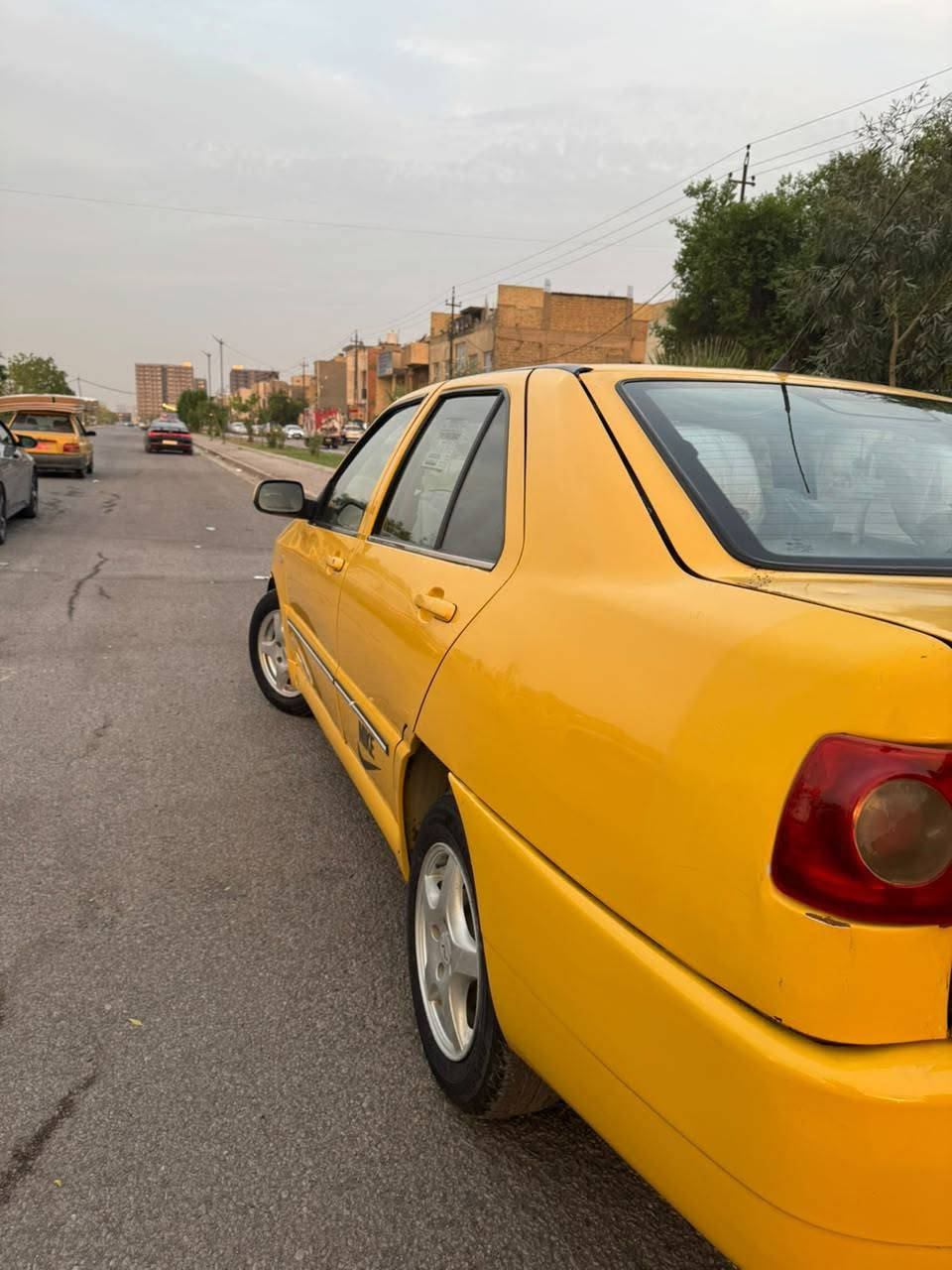 شيري كوين • ٢٠١١ • بدون صبغ