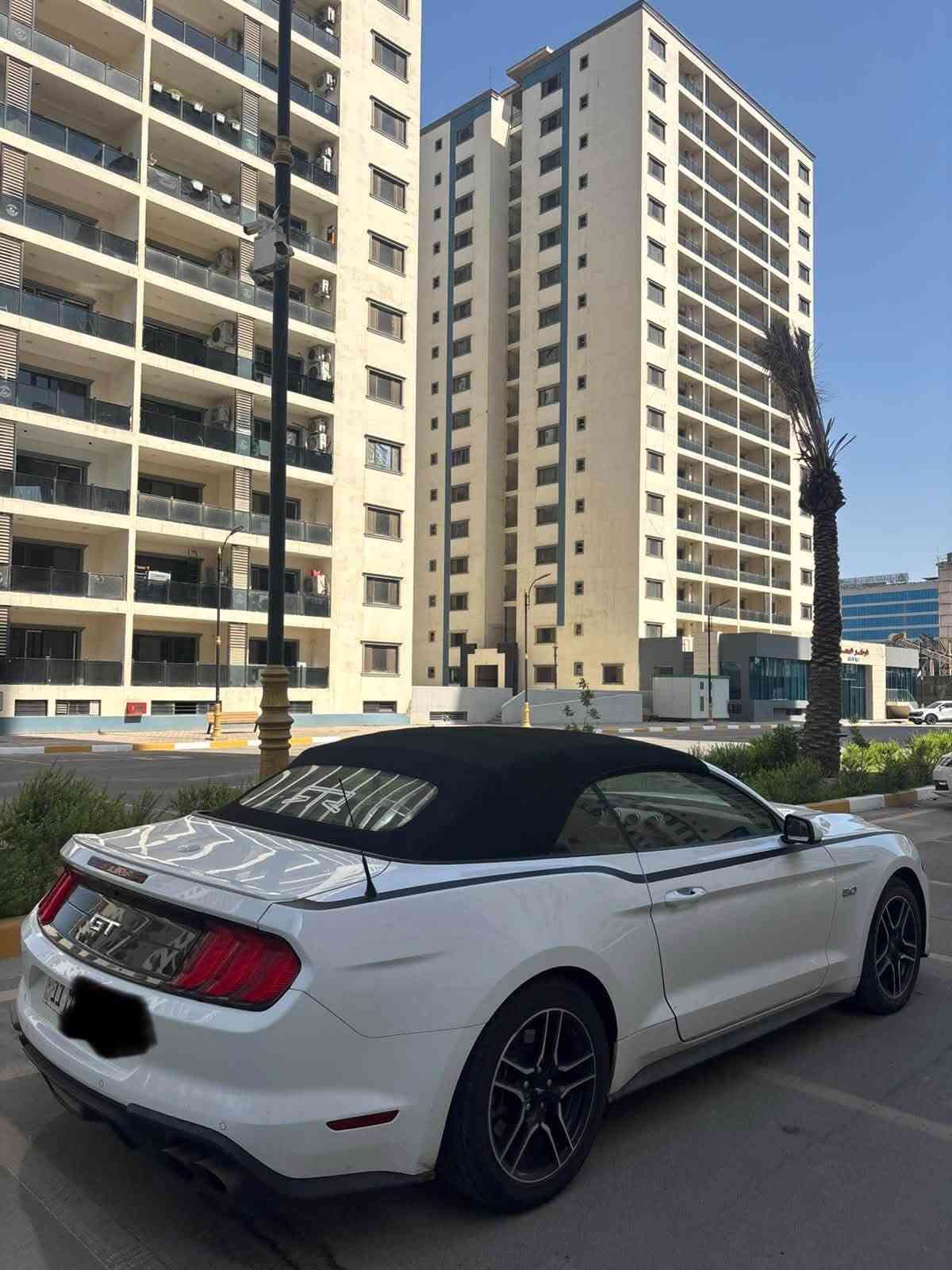 موستنج GT • ٢٠٢٢ • مكينه ٥٠٠٠