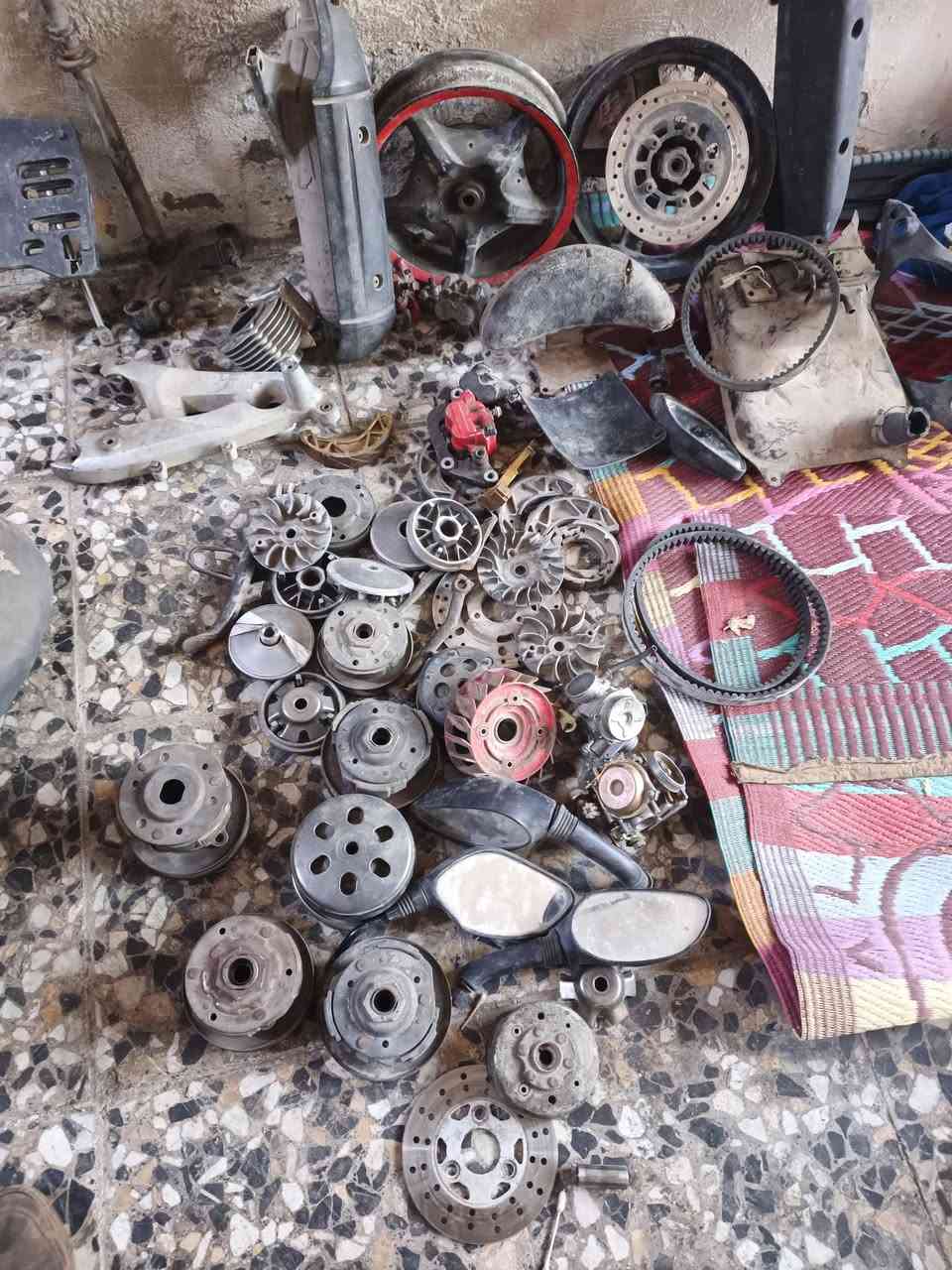 تفصيخ سكنز فحل ونثيه بغداد مدينة الصدر وهذا رقمي ***********
