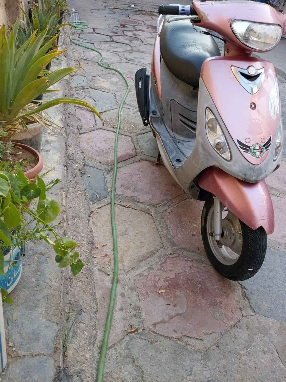 سلا عليكم ماكس منغولي نضيفه شرط شلعه ومعدل كهربائيات كله شغاله دراجه كفاله مبدل بيها فقط ولفات كفرات كله مختمه دراجه انضف من الصور السعر 450وبيها مجال مكان كربلاء الحر الاستفسار اتصل رقم ***********
