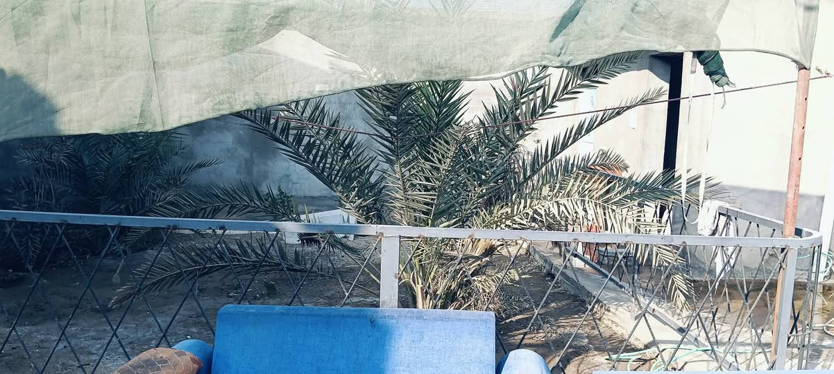 السلام عليكم
@دار للبيع مساحه 400متر 30متر نزال ×13متر وجه

الصخين فرع حسينيه سفينة النجاة

يبعد عن الشارع العام 250متر

خدمات كهرباء+ماء+مولد+مدارس

يتكون :استقبال 10×4

صالتين8.5×3.5متر: الصاله الثانيه6×6متر

مطبخ 5.5×3

غرف 3نضام سويت ثنين منهن5.5×4متر

وحده 5×3.5

مناور عداد 3 +حمامات داخليه

كراج +حديقه 150متر

حمامات خارجيه عداد2

هاتف ***********: 0780653208

نص مكتوب في الصور:
- الدار للبيع المساحة 400 م داخل الفرع للاستفسار *********** ***********
- مدخل بيت
- 2.50×2.50
- مطبخ 5.50×3متر