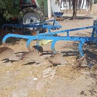 فيدان • الديوانية