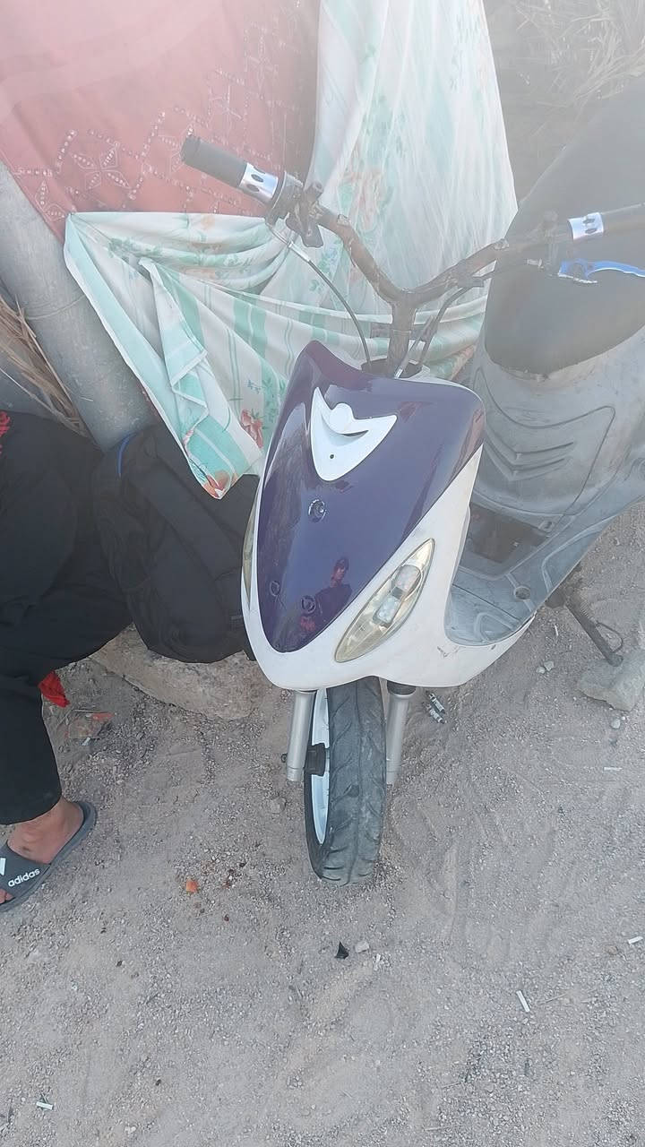 سلام عليكم منغولي للبيع نضيفه فول السعر هاذه رقمي *********** بي واتساب
