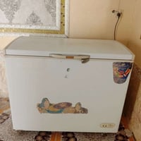 مجمده • نضيفه • شرط بلادي