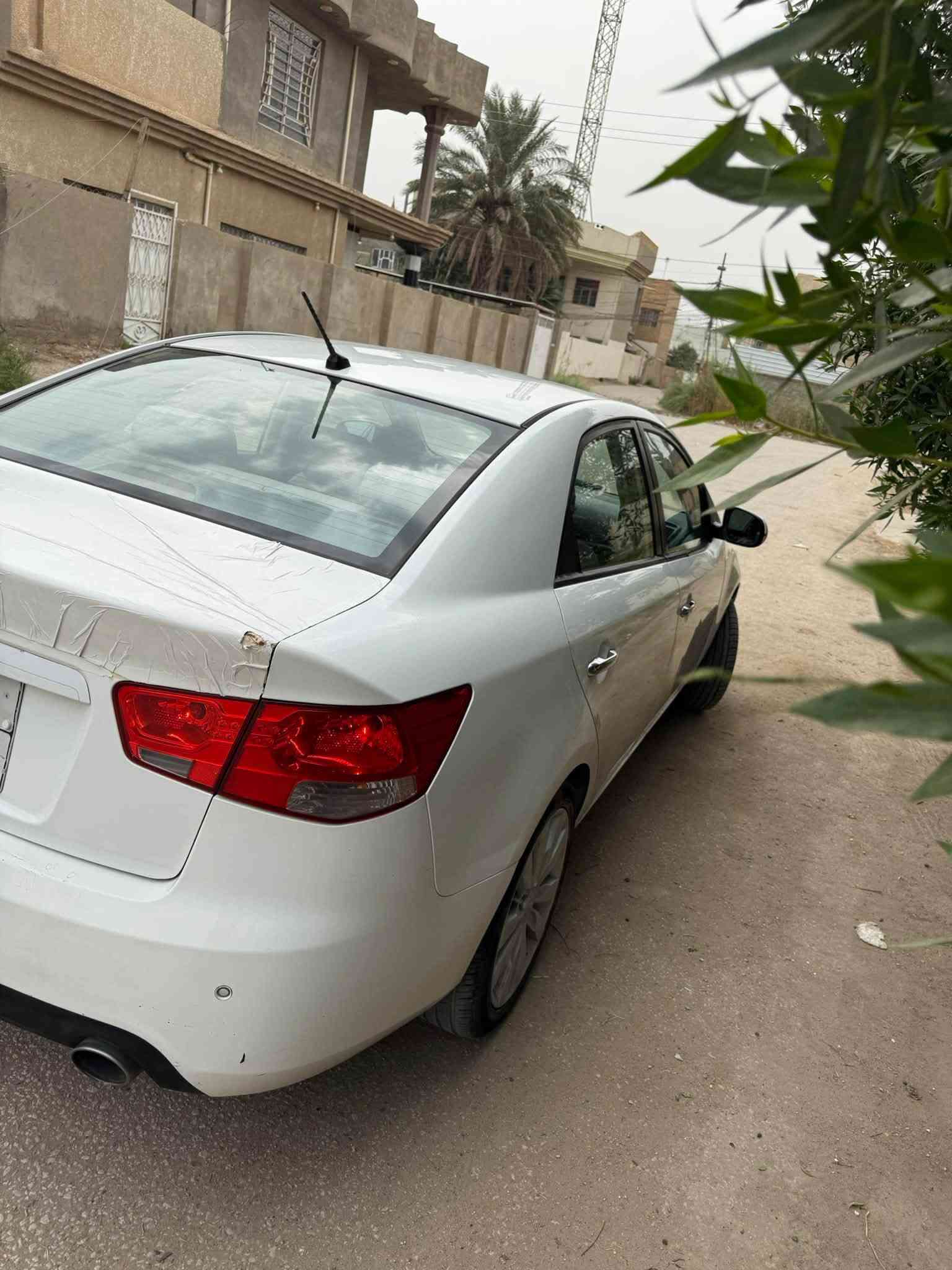 سيراتو • ٢٠١٢ • نمر اربيل