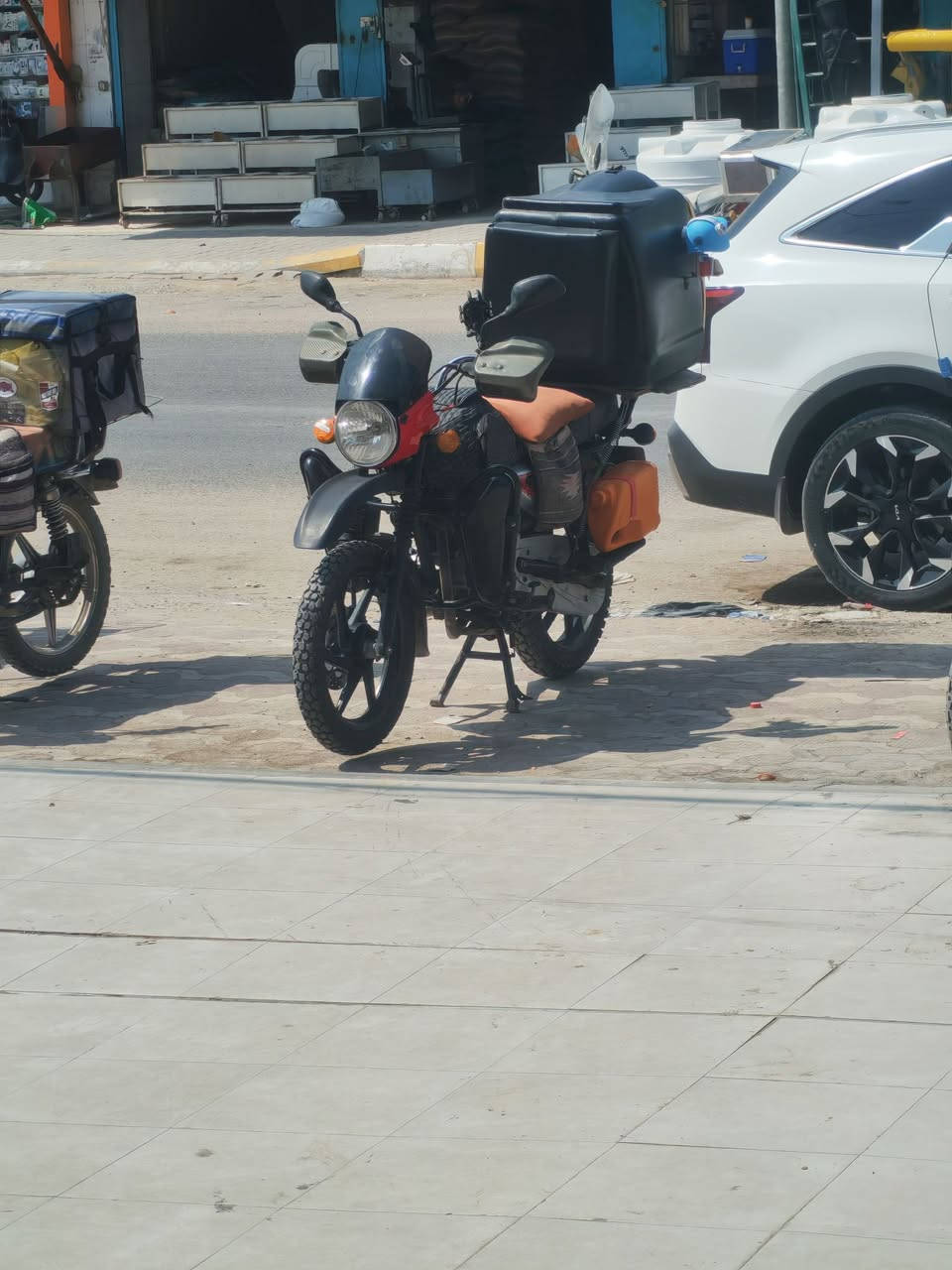 بوكسر • جبلي • ٢٠٢٣
