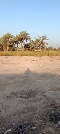 قرية ناجي • طابو زراعي • ٣٤٠م