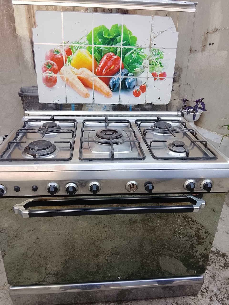 طباخ • شغال • فريش