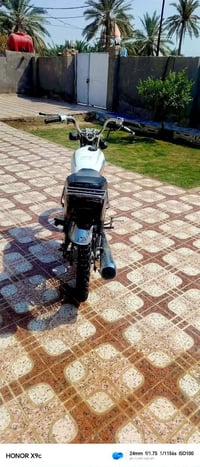 اربعه كير • ديوانية دغاره