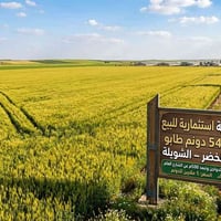 ٥٤ دونم • المثنى الخضر • طابو بند ٢٥