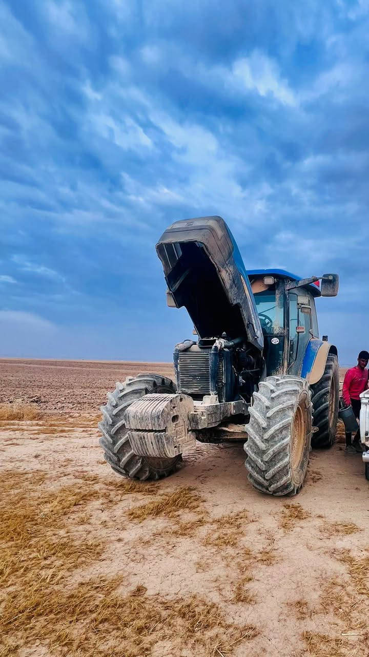 نيهولند • ٢٠٠٦ • اربيل