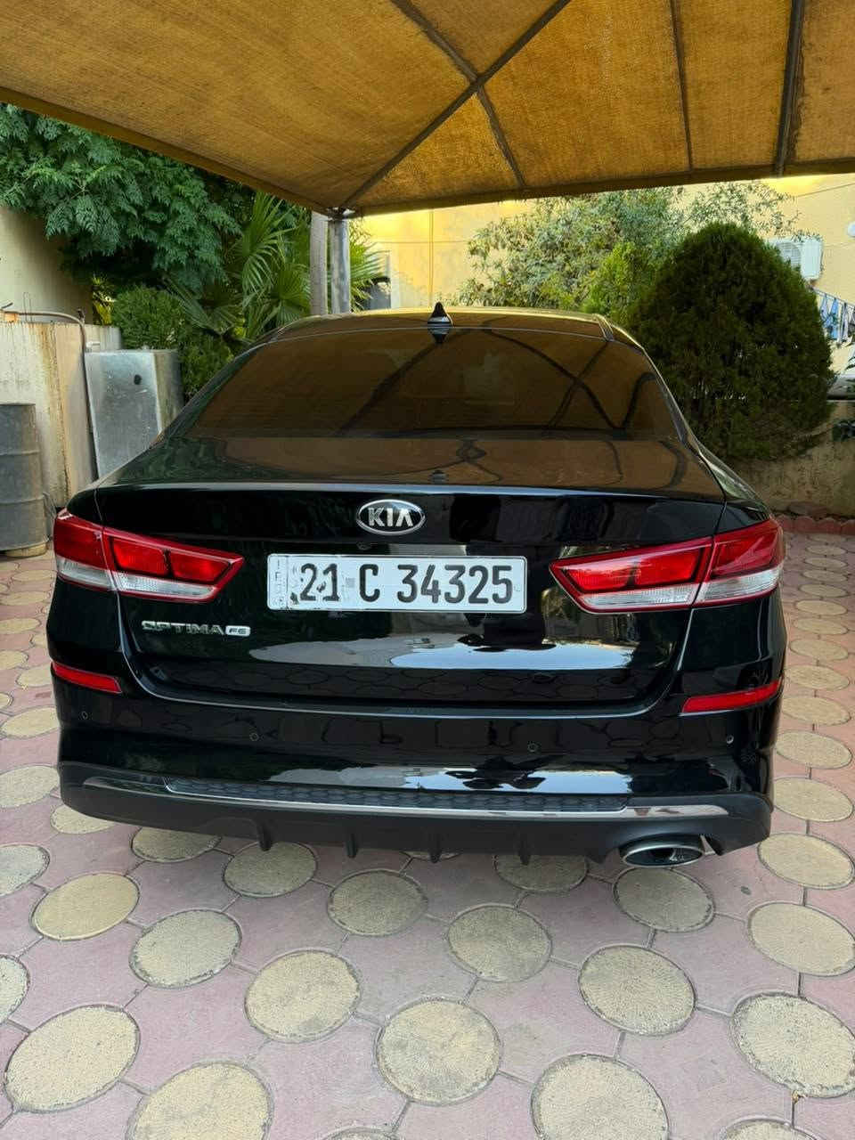 أوبتيما • ٢٠١٩ • وارد امريكي