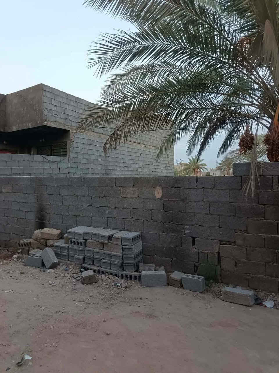 شبانات بزل • ١٠٠م • مباشر