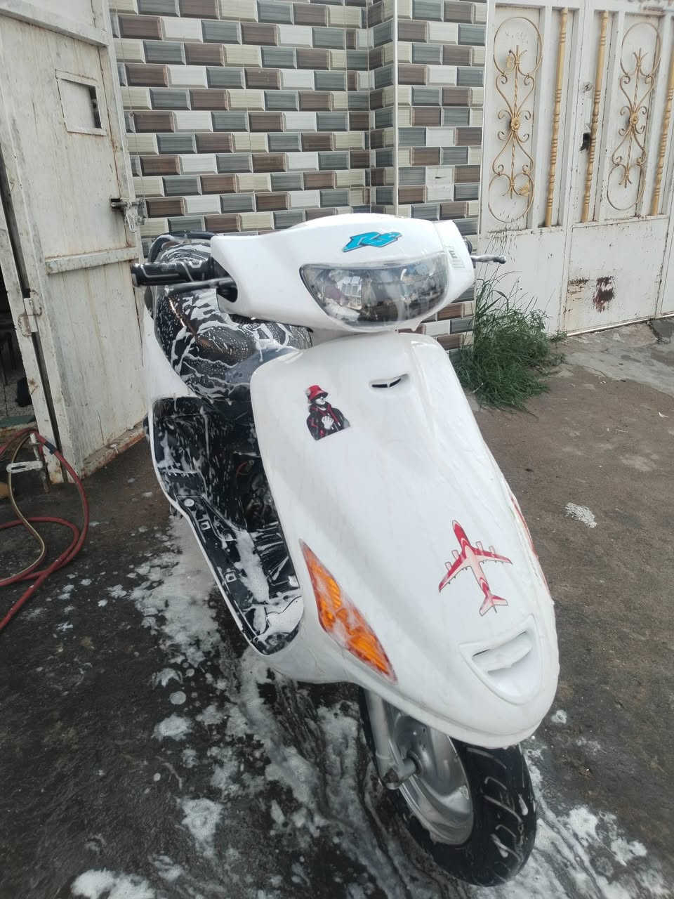 فراشة نثية • مكينه ناعمه • كامله
