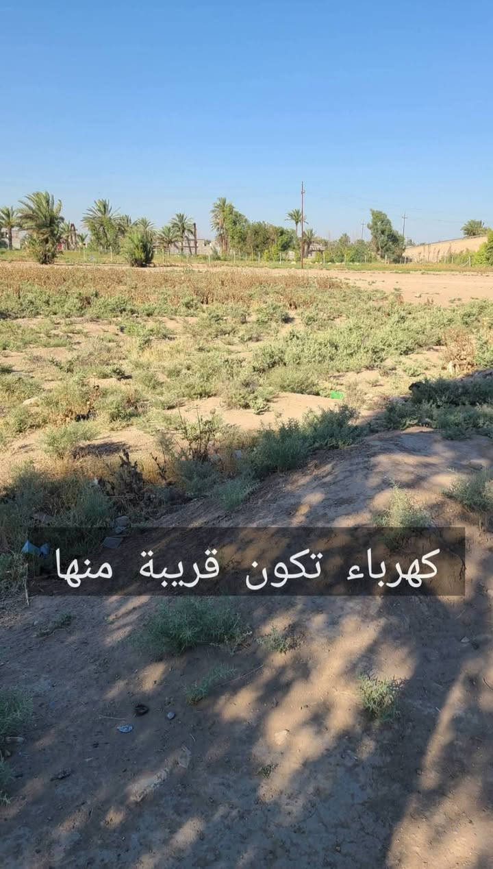 دونم زراعي للبيع
2500 متر مربع
ابوغريب الشيحة على خط السريع مباشر

***********

السعر جدا مناسب ٤٥ مليون فقط 

.
