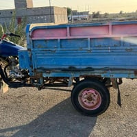 ستوته • نضيفه • أوراق