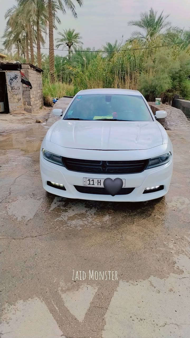 جارجر خليجي • ٢٠١٩ • رقم بغداد