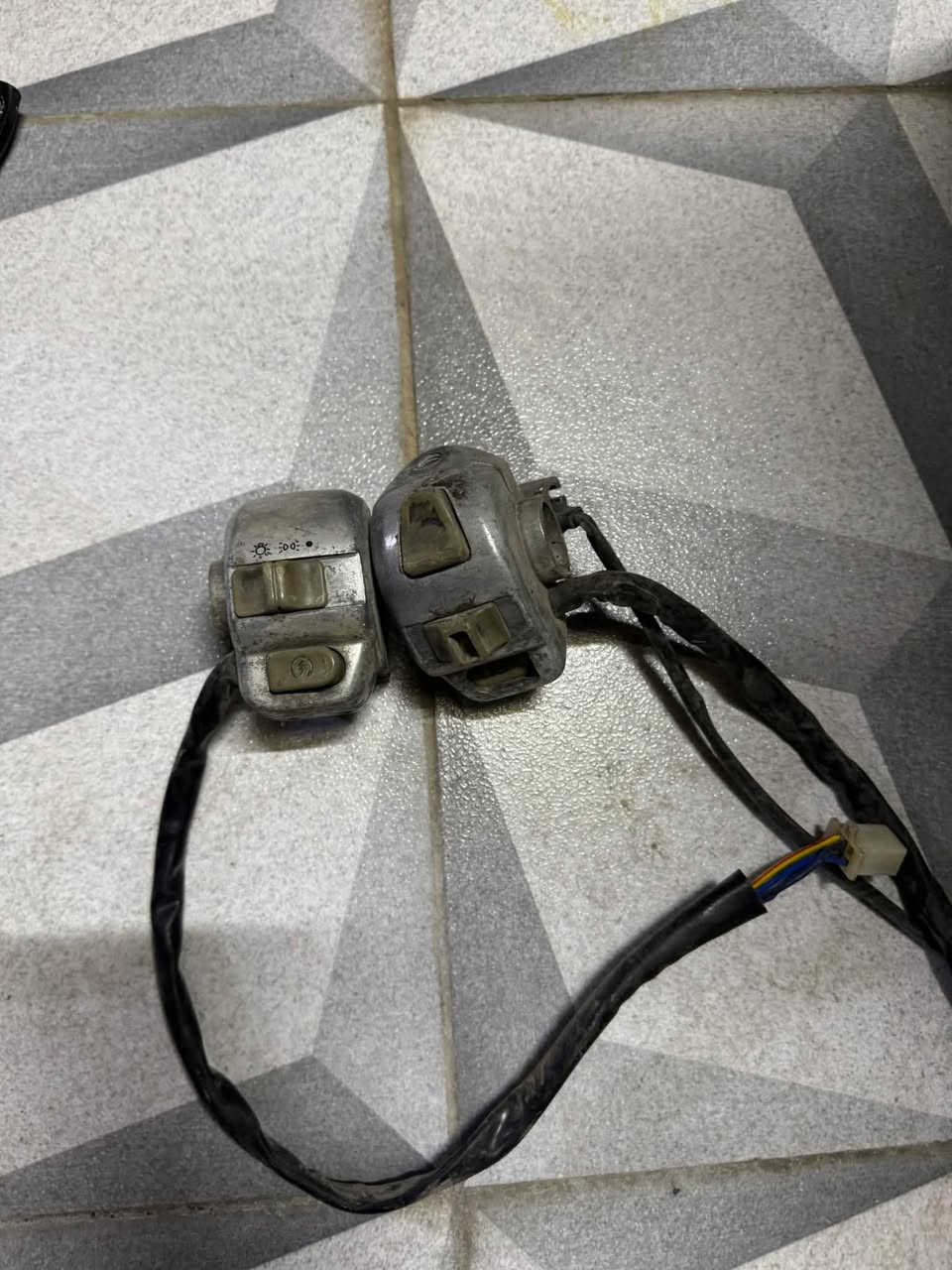 سكنس فحل • اصليات • تفصيخ