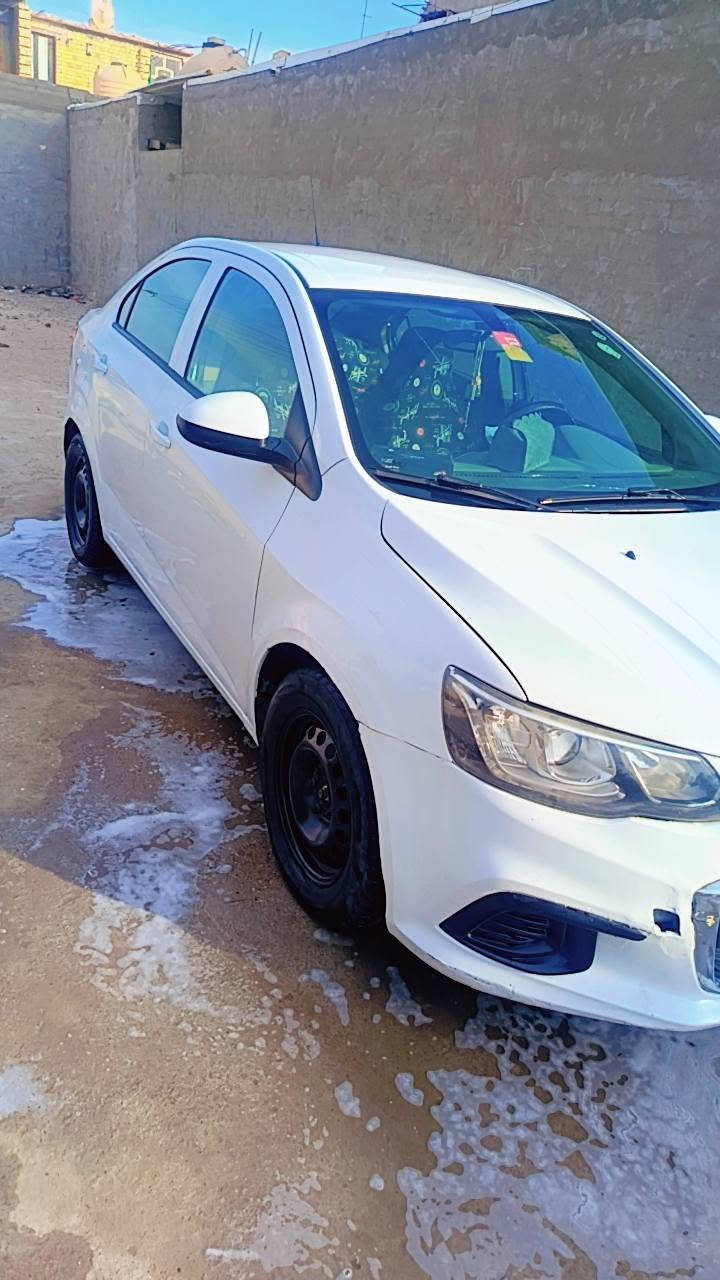 افيو • ٢٠١٩ • بدون دواخل