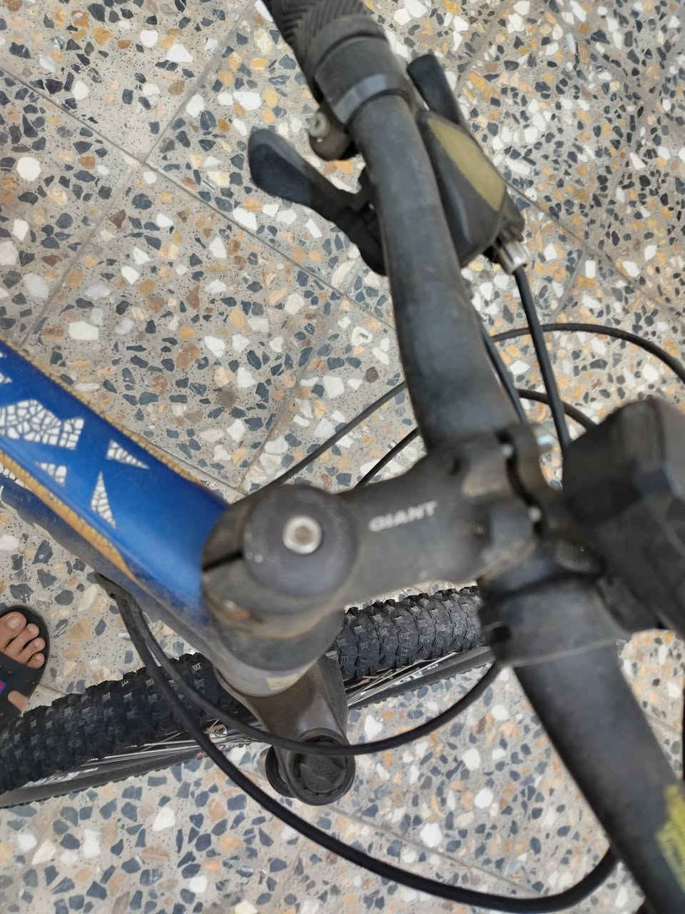 خاص • بسكليت
