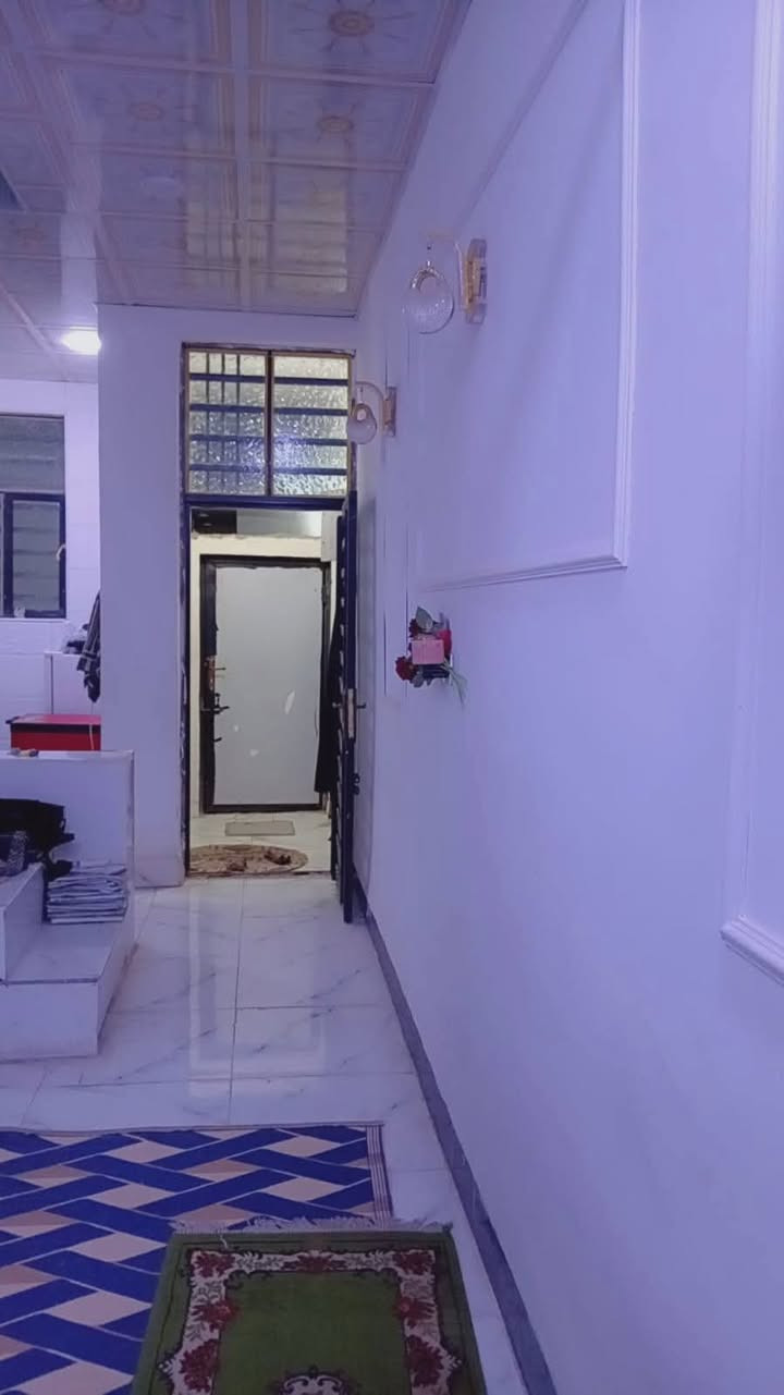 عمود ٣١٧ • ٥٠م • بناء حديث