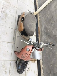 شغالة • تبديل • قايش