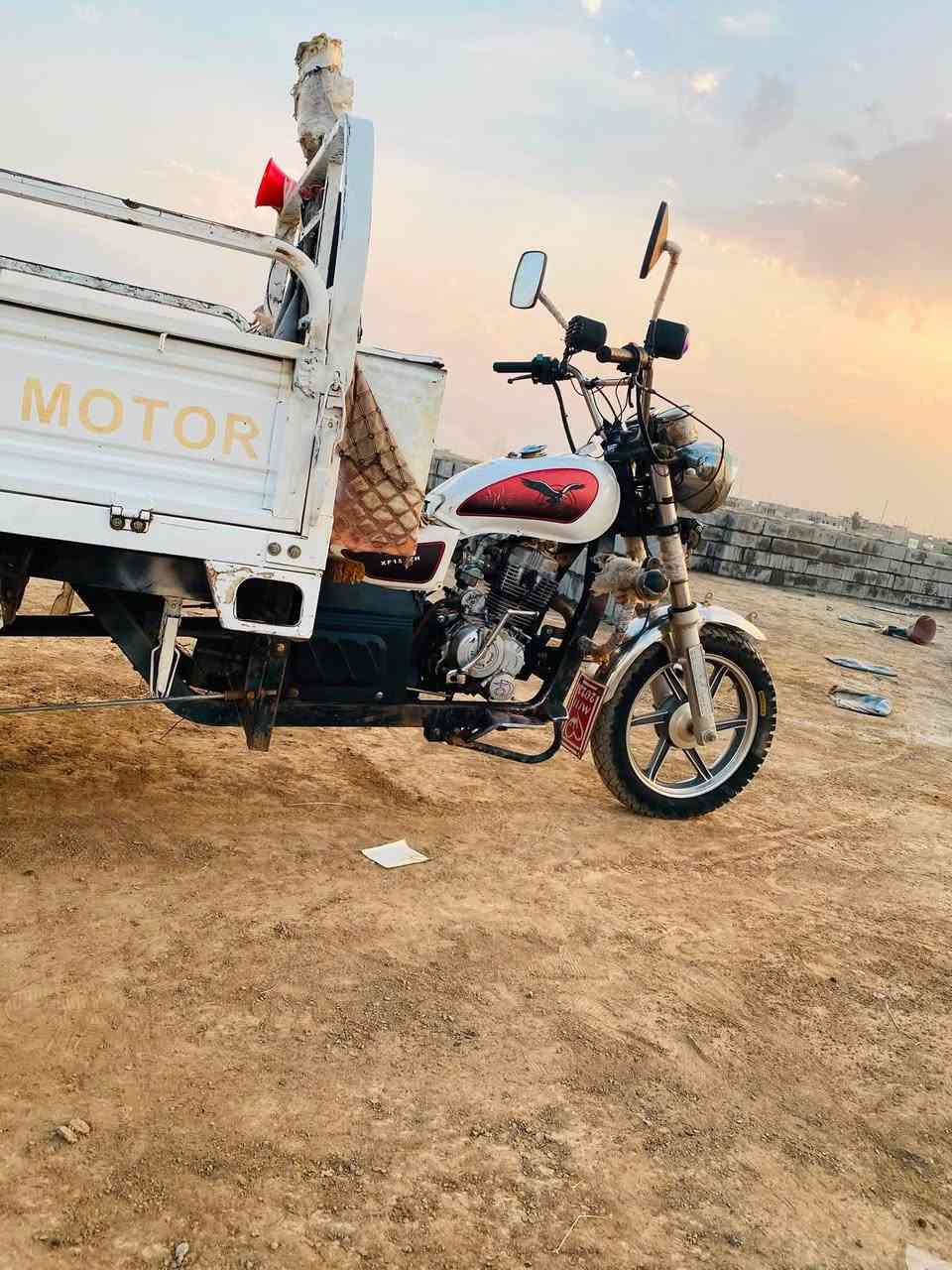 ستوته للبيع موديل٢٢فحل عالي مكان الحويجه 
السعر ١٣٠٠وبي مجال الاتصال ***********
