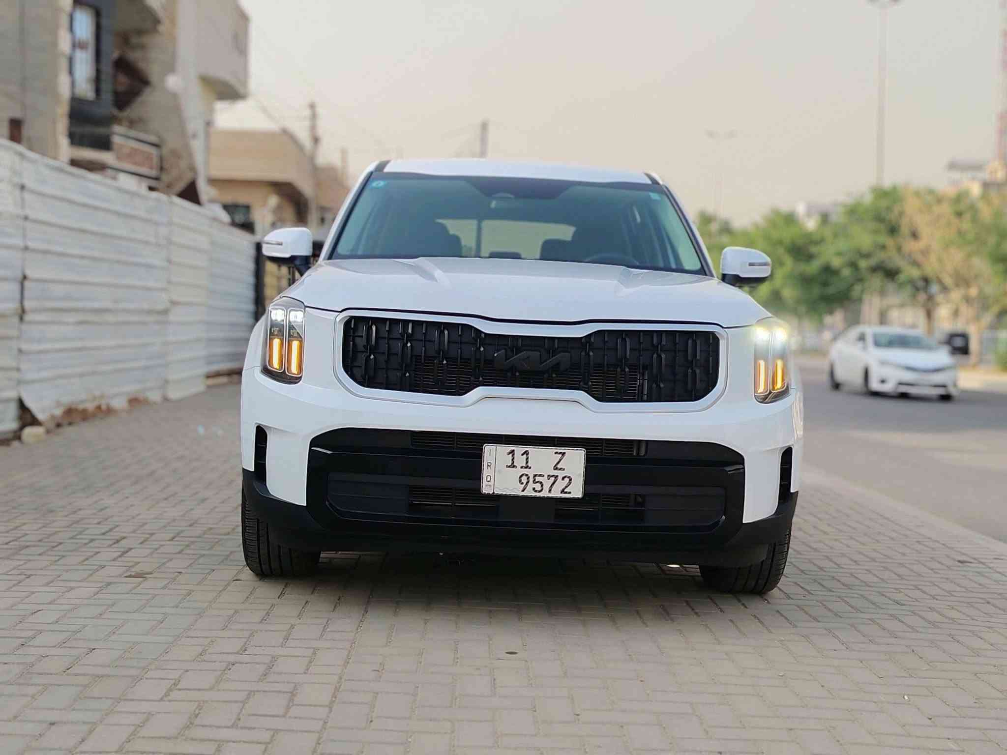 تيلورايد • ٢٠٢٤ • وارد امريكي