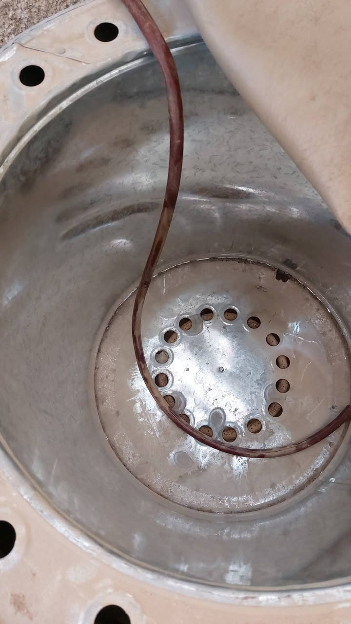 غراض كلمن وسعره ***********
