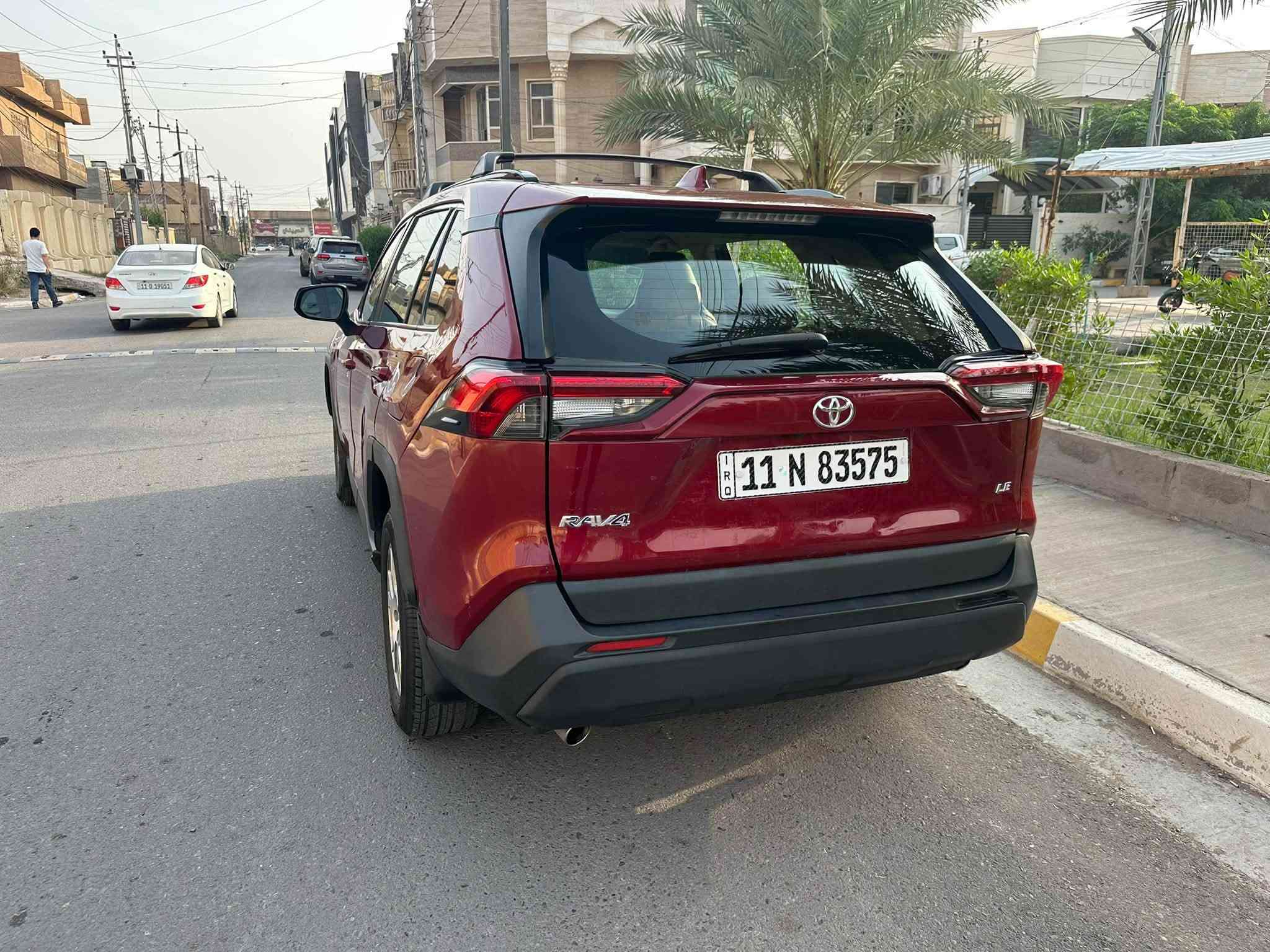راف فور • ٢٠١٩ • بدون صبغ