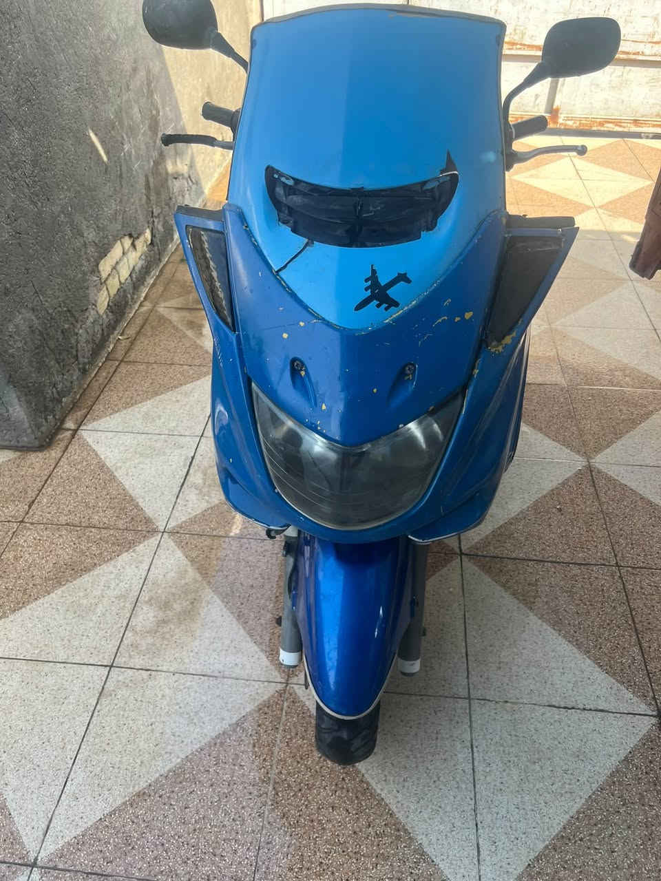 ماجسته • تك رون • شغاله