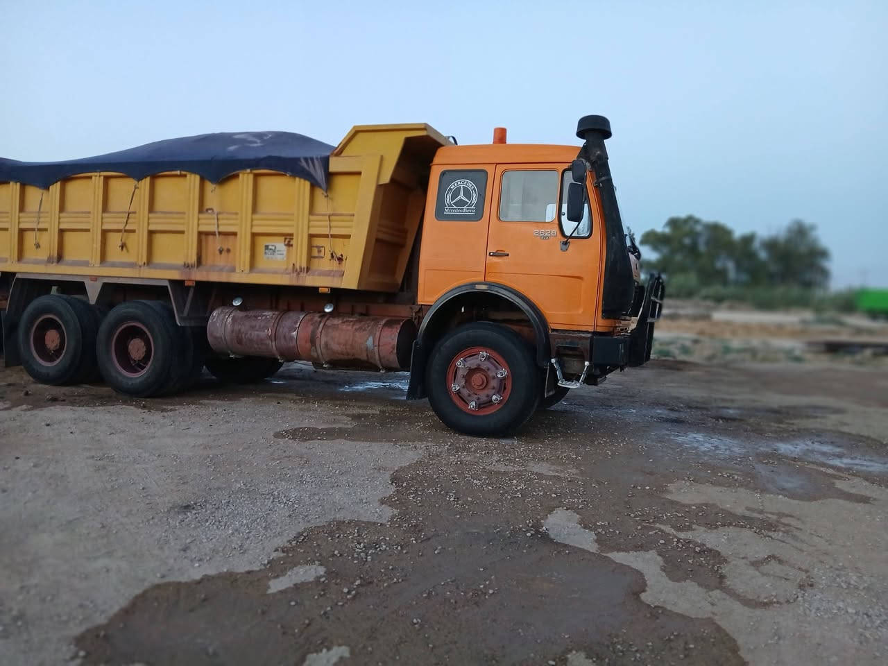 البي • موديل 81 • بغداد باسمي