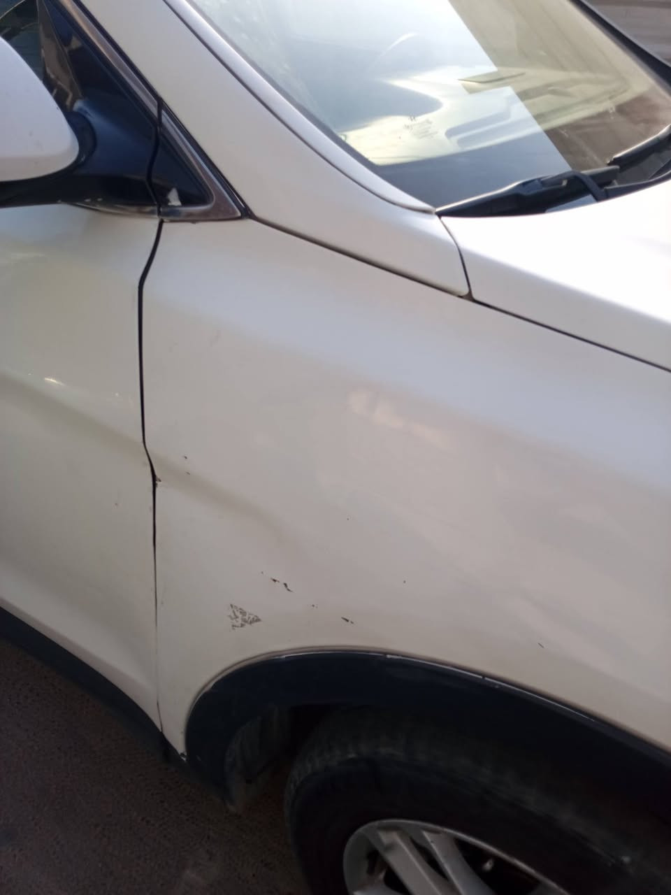 سلام عليكم نشالله طيبين سنتافيا موديل 14 وارد خليجي ضربتها جاملغين +بنيد شويه مواصل الغد المهم سيارة كايم محركها 4سلندر يردالها ترتيب للسيارة جانت مضمومه رقم ديالى رايدها 95وبيها مجال ***********مكاني بغداد مداور ثاني يوم
