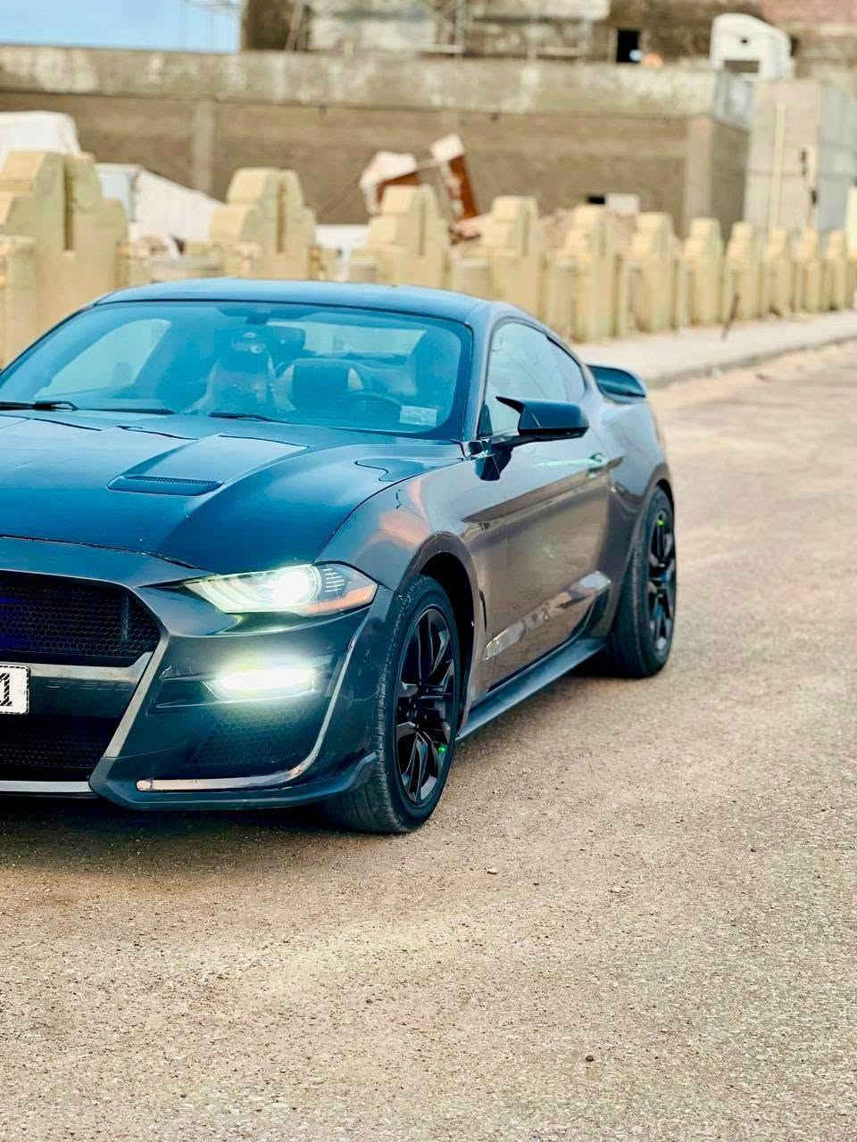 موستنك ايكو بوست • ٢٠١٩ • حادث امامي