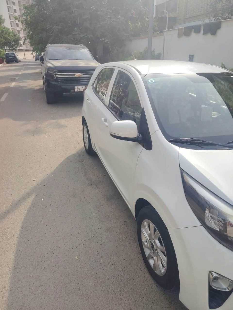 بيكانتو • ٢٠١٩ • ماشية ١٧ الف