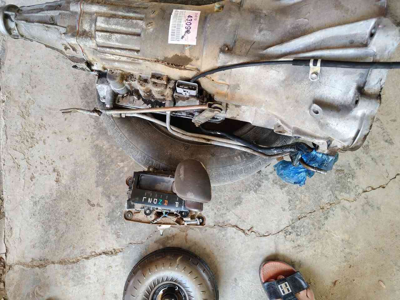 سلام عليكم كير بطه ونجي شرط الكير المحقات كله ويا للستفسار ه‍***********
