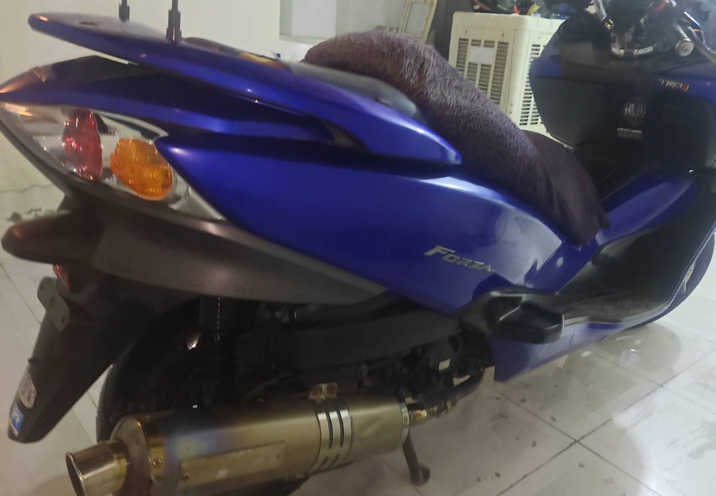 فورزا 10 • نظيف • أوتوماتيك