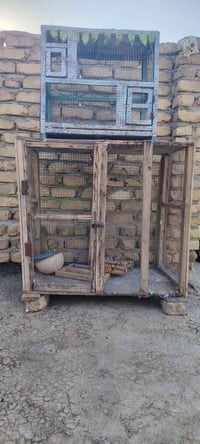 قفاصه اثنيناتهن ب15 يرهم مال كلش طيور دجاج