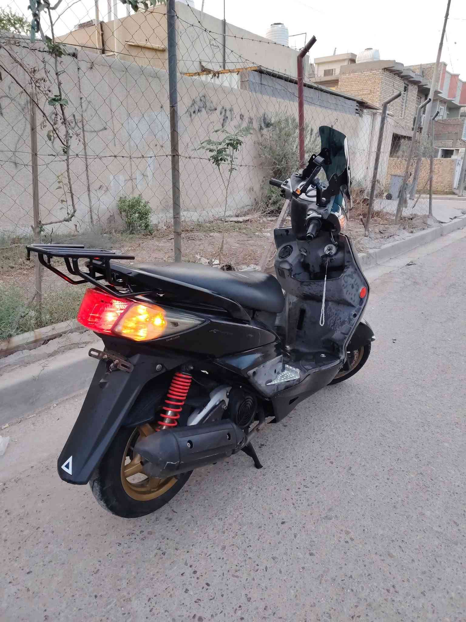 سكنس فحل • جاهزة • زنون