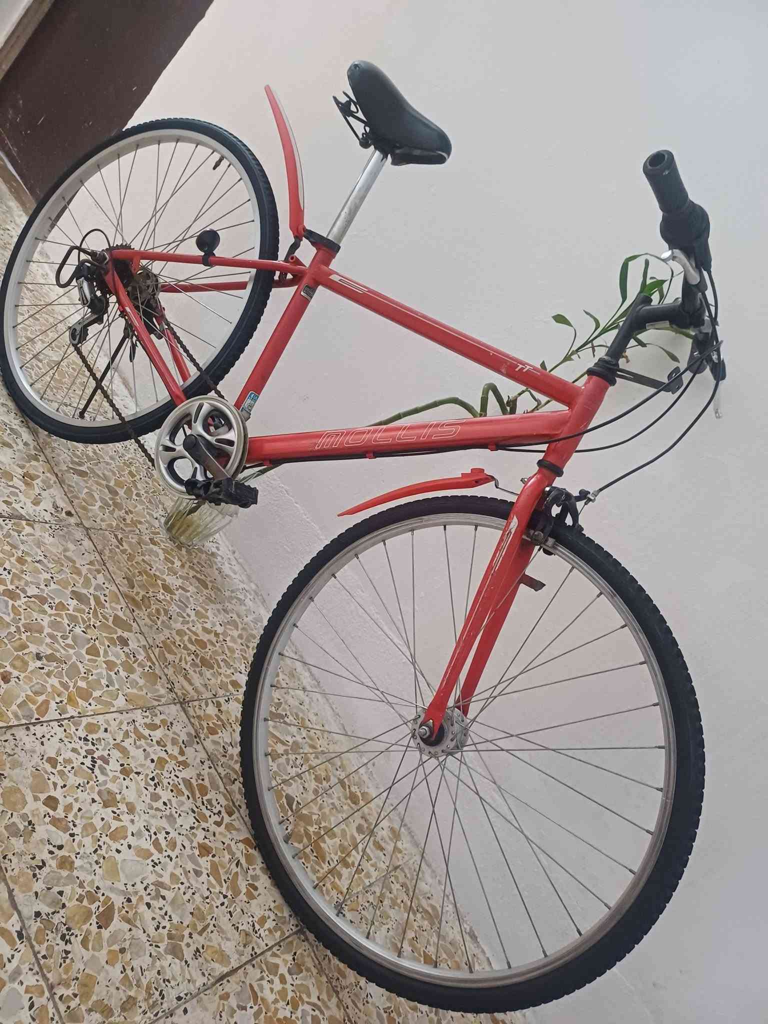 للبيع بايسكل ياباني C700حجم 27 تايرات جدد ام خط الازرك
بريكات شغاله 
كير ابو الشاشه شغال 
كشن طبي
ويل امامي ابو الحساس  (( السعر 85 الف ))
المكان بغداد البنوك او الكياره ***********
