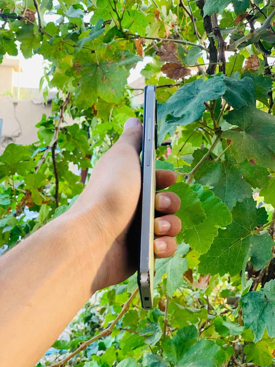 انفينكس سمارت 8 • 64 جيجا • 5000mAh
