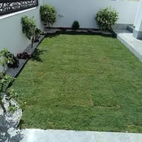 مكتب بابل • زراعة حدائق • ثيل طبيعي