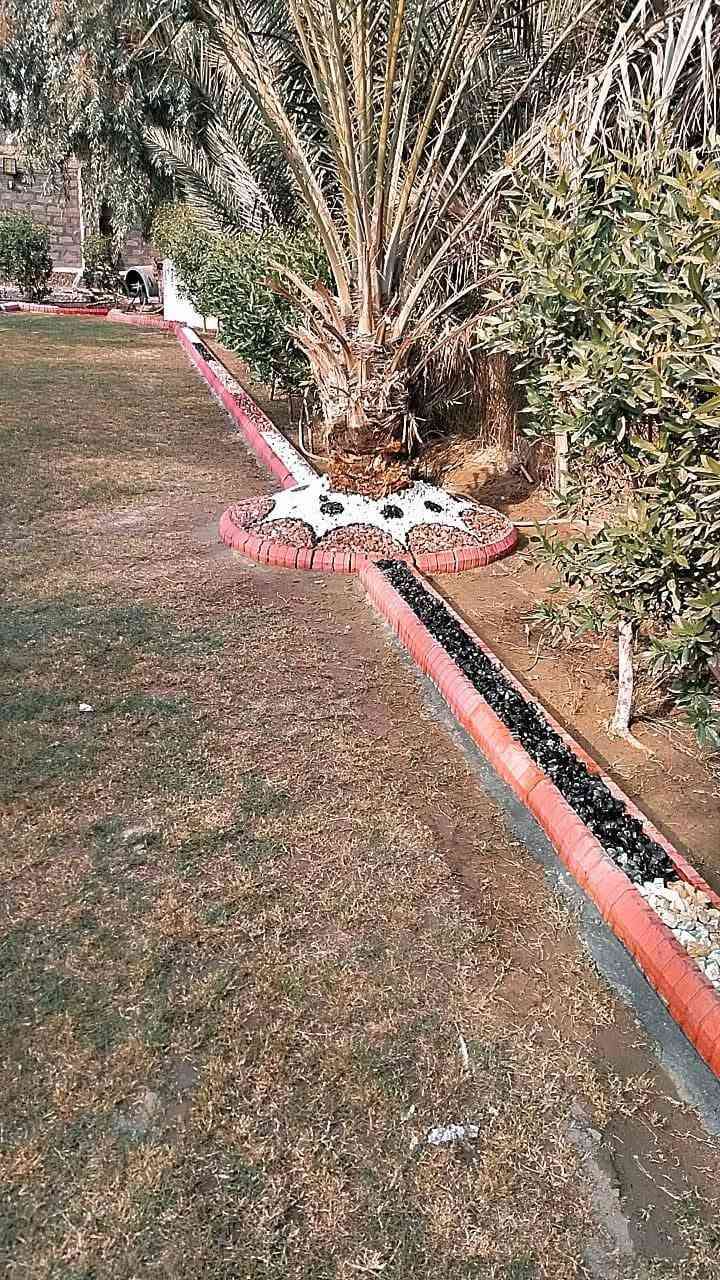 🌸 نعمل داخل بلد وخارج بلد 🫶
🌸زراعة الثيل 
🌸زراعة الاشجار 🌱🌲
🌸زراعة الورود وجميع نباتات 
 
اتصل على رقم الهاتف وتدلل 👈 ***********
