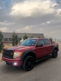 فورد F150 • ٢٠١٤ • بلا صبغ