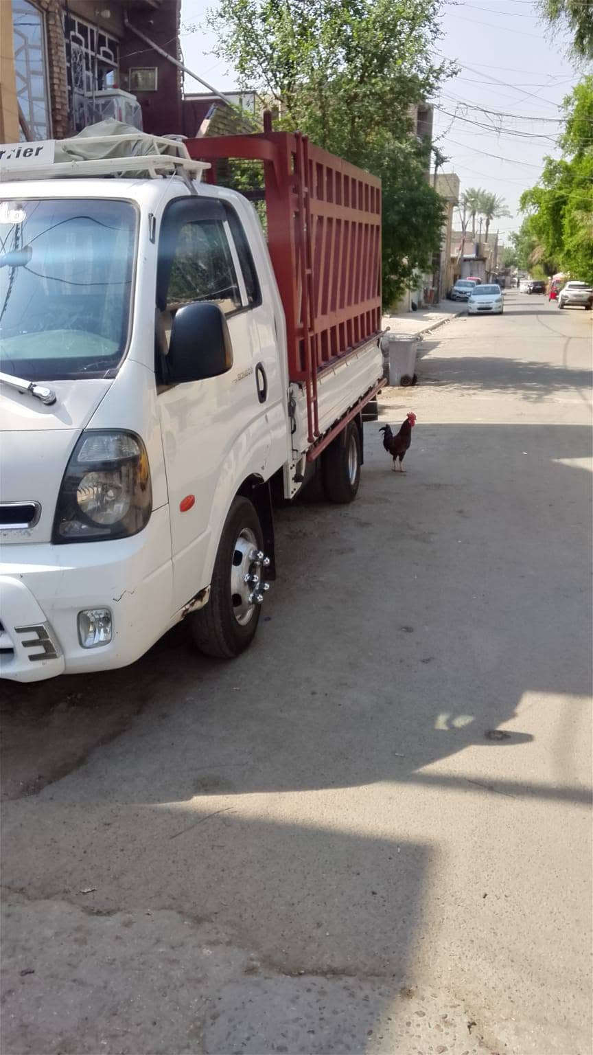 فحل مسكر • ٢٠١٣ • نظيفه