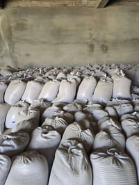 حنطة • بورو • للبيع