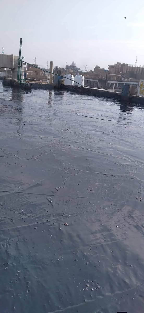 تعلن سكلة  المنكوشي لبيع الجير في كربلاء في اسعار مناسبه الاستفسار الارقام الهاتفيه ***********/📞☎️
