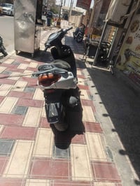 اكزز • شغالة • 175