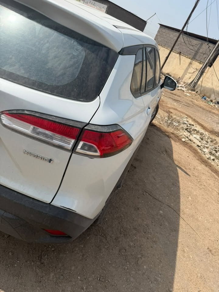 كروز • ٢٠٢٤ • هايبرد