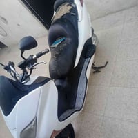 فورزة • ٠٨ • عوزها دشمة